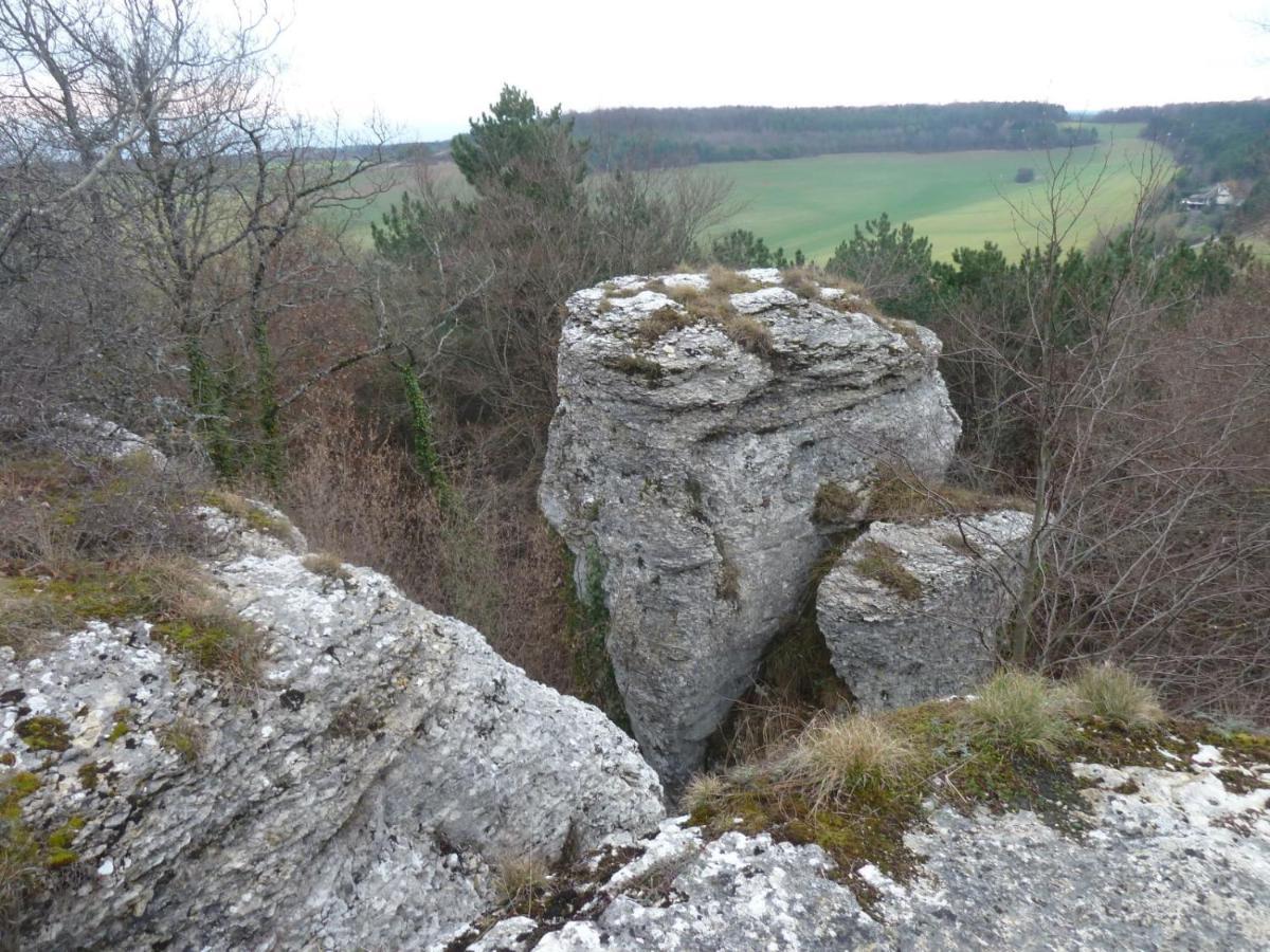 Le Flav - Charmant Appartement A 10 Mn De Dijon Flavignerot 外观 照片