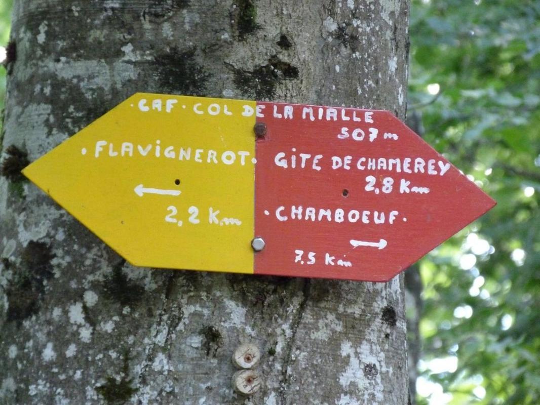 Le Flav - Charmant Appartement A 10 Mn De Dijon Flavignerot 外观 照片